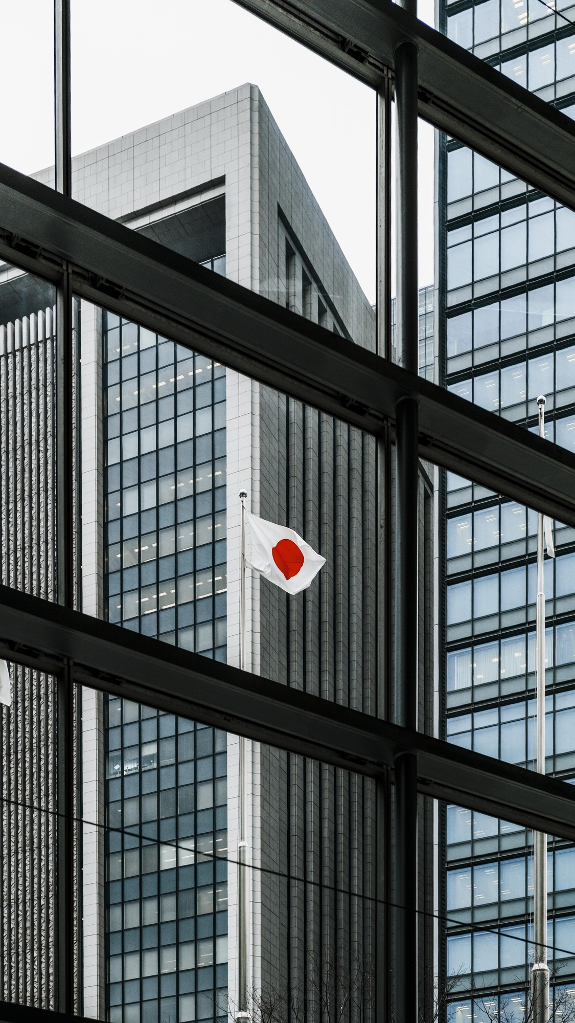 ガラス張りのオフィスビルの間に掲げられた日本国旗。